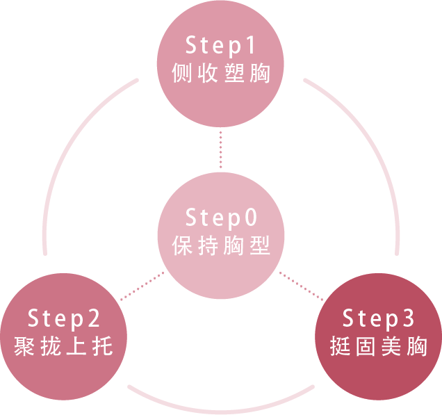 STEP相関図